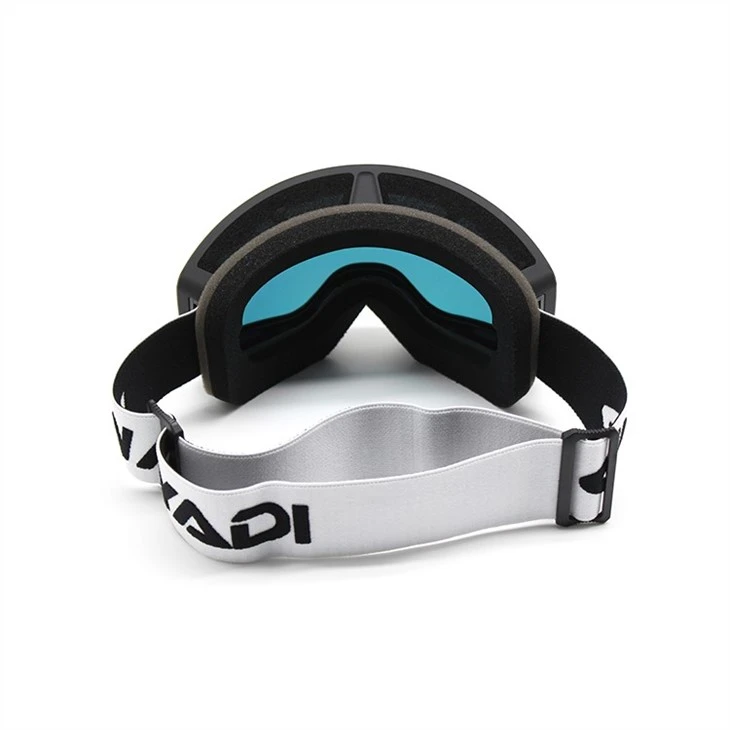 Ski Goggles To Wear Over Glasses